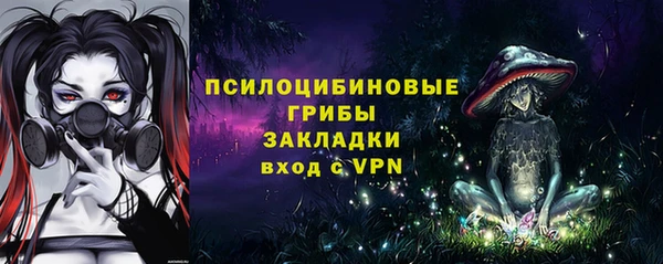 a pvp Алексин