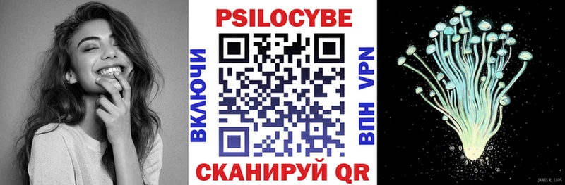 Галлюциногенные грибы Psilocybe  что такое   Почеп 